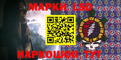 индика Гусь-Хрустальный