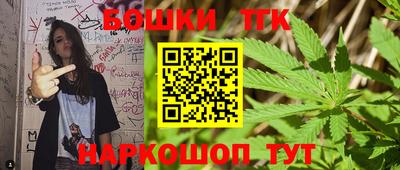 индика Гусь-Хрустальный