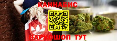 индика Гусь-Хрустальный