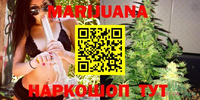 индика Гусь-Хрустальный